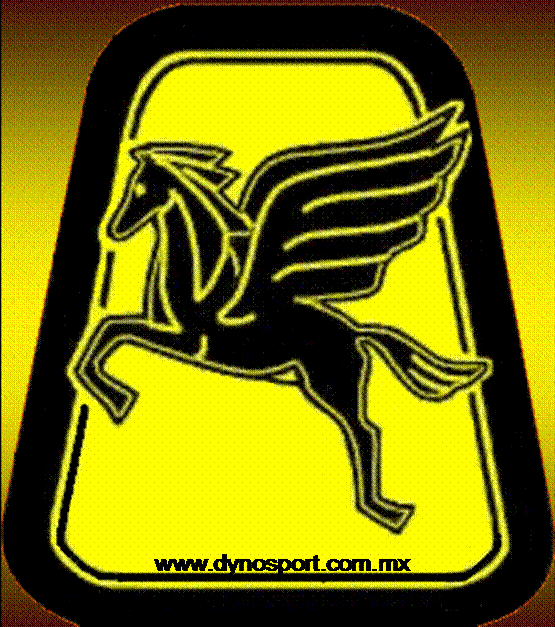 www.dynosport.com.mx